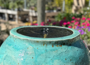 Fountain & Flowers