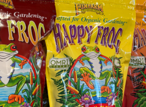 Happy Frog